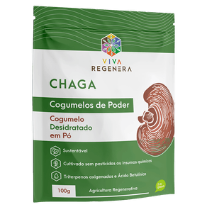Chaga-Cogumelos-de-Poder-Viva-Regenera-100-g